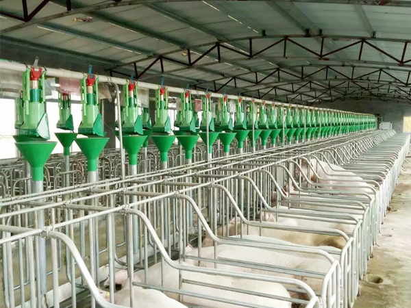 搖擺式定量喂養設備