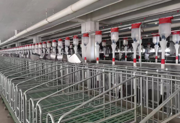 定量自動(dòng)喂養(yǎng)設(shè)備